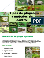 Tipos de Plagas y Métodos de Control