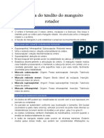 Ruptura Do Tendão Do Manguito Rotador