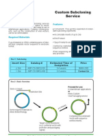 Custom Sub Cloning Service