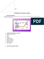 Cuestionario de La Neurona