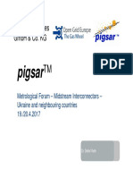 03 - Pigsar - Metrological Forum