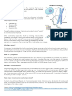 Articles - DNA, Chromosome & Genes