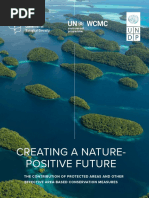 UNDP UNEP Creating A Nature Positive Future Executive Summary EN