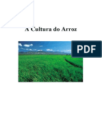 A Cultura Do Arroz Apostilas Agronomia