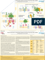 FEBS Letters - 2023 - Herrmann - Protein Translocation in Mitochondria Sorting Out The Toms Tims Pams Sams and Mia