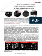 Informe Técnico de Caas Qardia