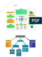 Contaminación Ambiental