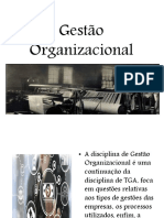 Gestão Organizacional