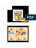 L5 The Citric Acid Cycle (CAC)