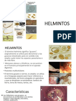 Helmintos. Generalidades