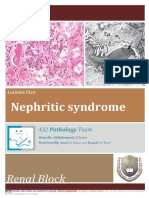 PATH - Nephritic Syndrome