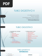 Tubo Digestivo Ii