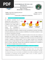 PDF Documento