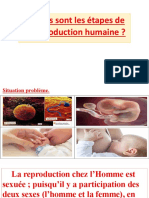 Quelles Sont Les Étapes de La Reproduction Humaine