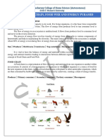 Food Chains Worksheet Final