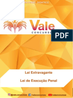 Lei de Execução Penal - 60