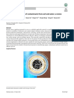 Application of Biochar Based Materials-Enriched or Prinsted - in Pollutants Elimination in Soil and Water