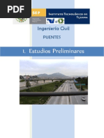 Puentes Estudios Preliminares