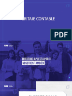 Peritaje Contable 7