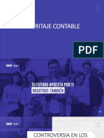 Peritaje Contable 9