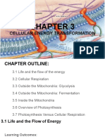 CHAPTER 3 Cellular Energy Transformation v1