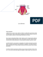 Los Dientes
