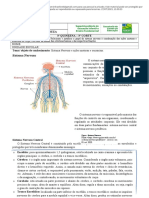 6º CIE 3 Quinzena 3º Ciclo - Passei Direto