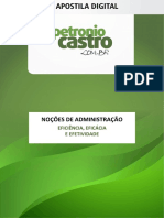 6-Eficiência, Eficácia e Efetividade - Apostila