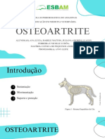 Osteoartrite