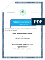 La Responsabilite Penale Des Dirigeants Sociaux en Droit Camerounais