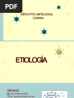 Hepatitis Infecciosa Canina