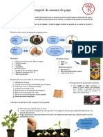 Compost de Cascara de Papa