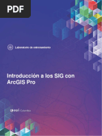 Introducción A Los SIG Con ArcGIS Pro