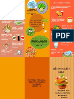 Triptico de Alimentacion Saludable 11