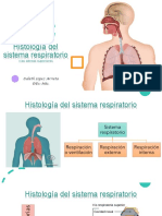 Histología Del Sistema Respiratorio