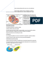 Repaso Biologia Segunda Parcial