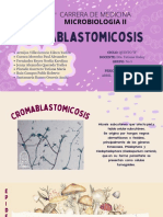 MICRO Cromablastomicosis