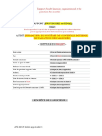 Annexe XI.4 Modele Rapport Audit