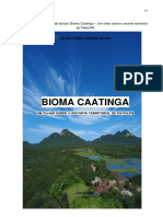 Produto Educacional de Telma Material Textual Bioma Caatinga Um Olhar Sobre