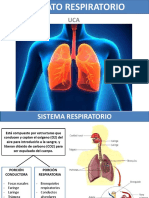 08 - Aparato Respiratorio