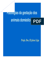 Patologias Da Gestação