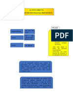 Mapa Conceptual Accion Directa