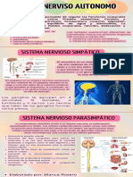 Sistema Nervioso Autónomo