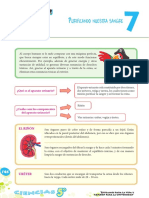 Urificando Nuestra Sangre: ¿Qué Es El Aparato Urinario?