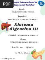 Sistema Digestivo 3