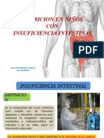 Nutricion en Insuf Intestinal HERM 2018