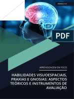 Habilidades Visuoespaciais, Praxias E Gnosias: Aspectos Teóricos E Instrumentos de Avaliação