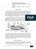 ZV - Practica 03 - Peces, Anatomia Interna