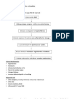 Polycystic Kidney: Formation of Cysts in The Cortex and Medulla