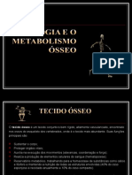 Fisiologia e Metabolismo de Sistema Osseo